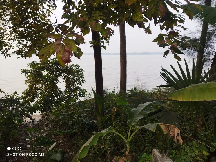 Garden, thakurpukur bibirhat bakhrahat raipur road  1440 Sq.Ft. Plot In Thakurpukur Bibirhat Bakhrahat Raipur Road Kolkata 8584848