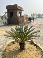 2000 Sq.Yd. Plot in Krishna Iscon Valley