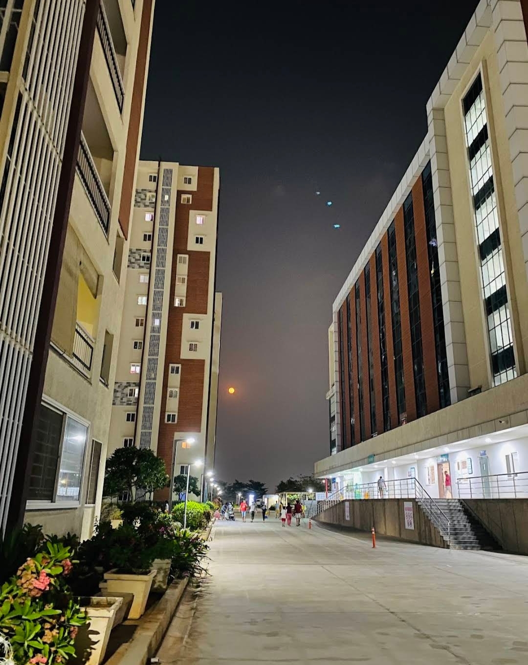 4 BHK Apartment For Sale in Vamsiram West Wood