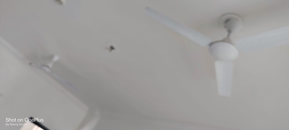 3 BHK 1750 Sq.Ft. Apartment in AWHO Shanti Vihar