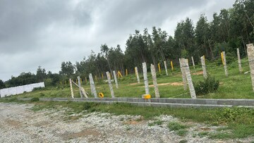  Plot For Sale in Nh 207
