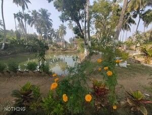  Plot – Garden View at Thakurpukur Bibirhat Bakhrahat Raipur Road - for Sale