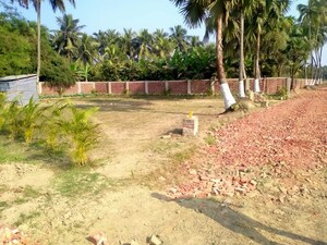 Plot Area in  Plot at Thakurpukur Bibirhat Bakhrahat Raipur Road – for Sale