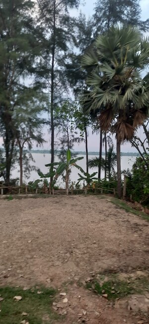  Plot – Exterior View View at Thakurpukur Bibirhat Bakhrahat Raipur Road - for Sale