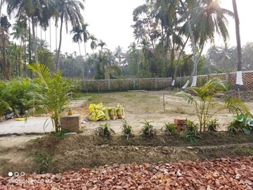 Plot Area in  Plot at Thakurpukur Bibirhat Bakhrahat Raipur Road – for Sale