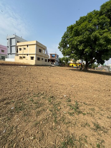  Plot For Sale in Badowala