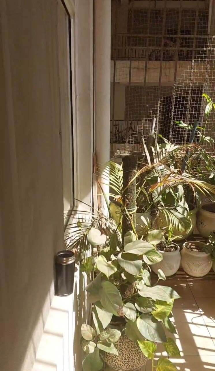 undefined, panchsheel-wellington 2 Bedroom 1450 Sq.Ft. Apartment In Dundahera Ghaziabad 8585589