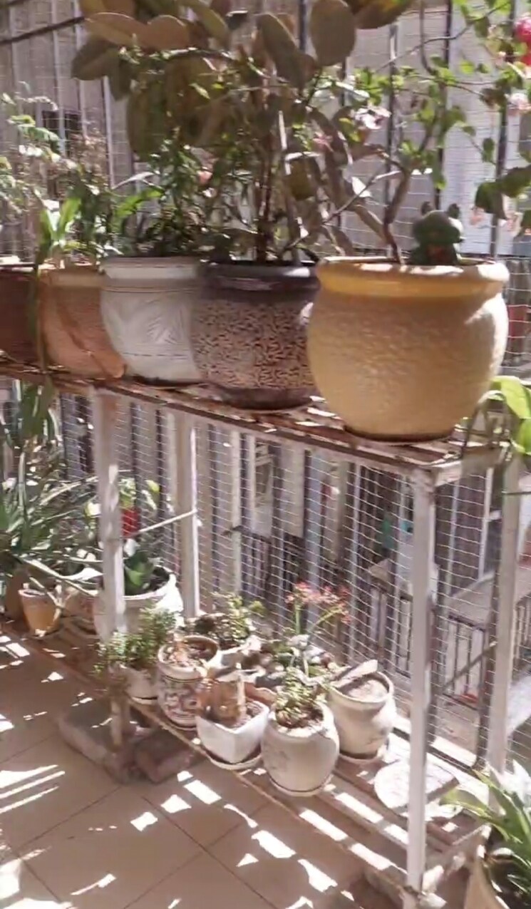 Balcony, panchsheel-wellington 2 Bedroom 1450 Sq.Ft. Apartment In Dundahera Ghaziabad 8585589