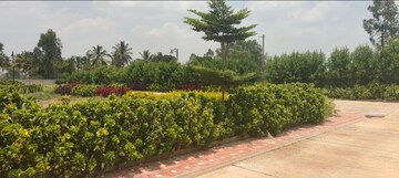  Plot – Exterior View View at Devanahalli - for Sale