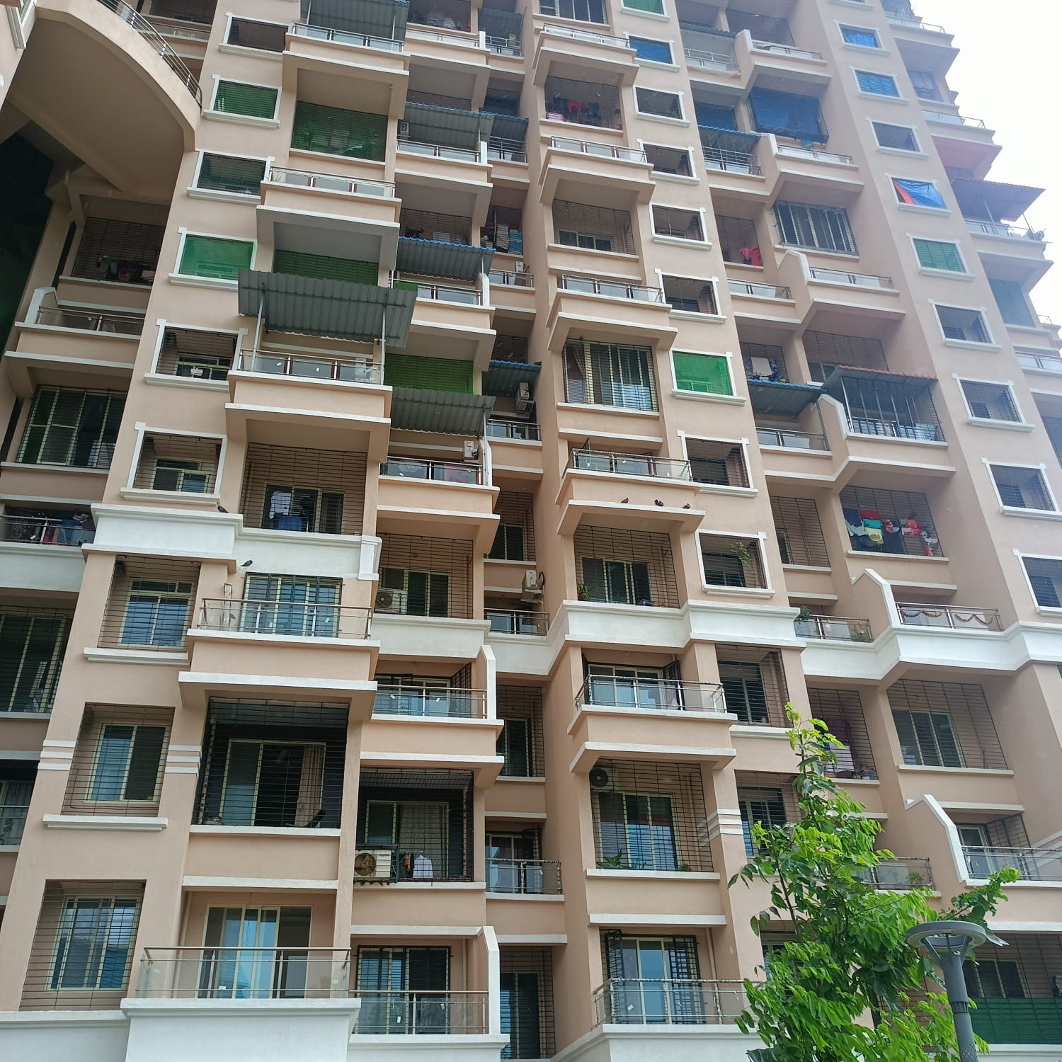 2 BHK + Study Room Apartment For Rent in Mohan Areca