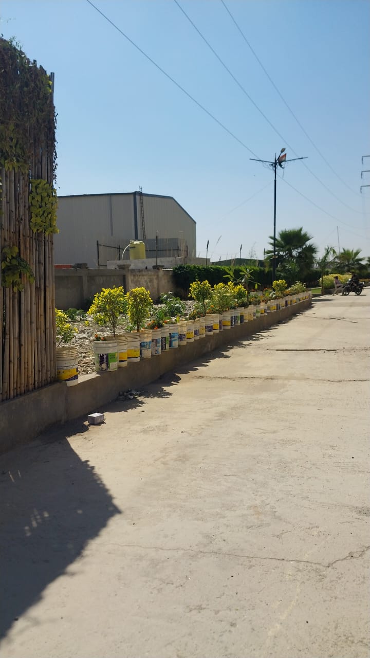 1 BHK Apartment For Sale in Eureka Diya Green City