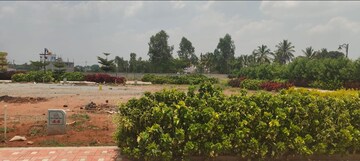Plot Area in  Plot at Anugondahalli – for Sale