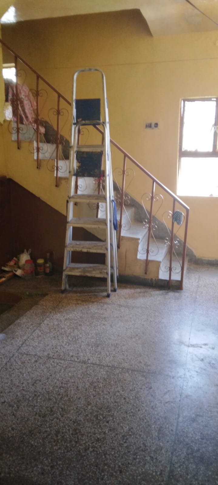 1 BHK Builder Floor For Rent in Avasiya Kalyankari Sanstha