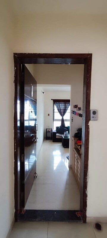 2 BHK Apartment For Rent in Pride Purple Park Connect, Hinjewadi