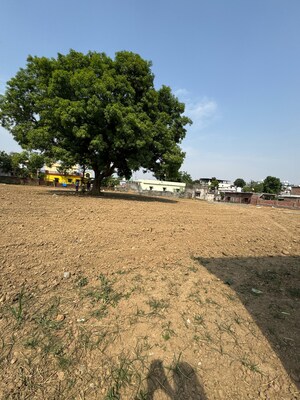 Plot Area in  Plot at Shimla Bypass Road – for Sale