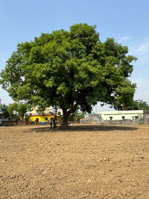 Plot Area in  Plot at Shimla Bypass Road – for Sale