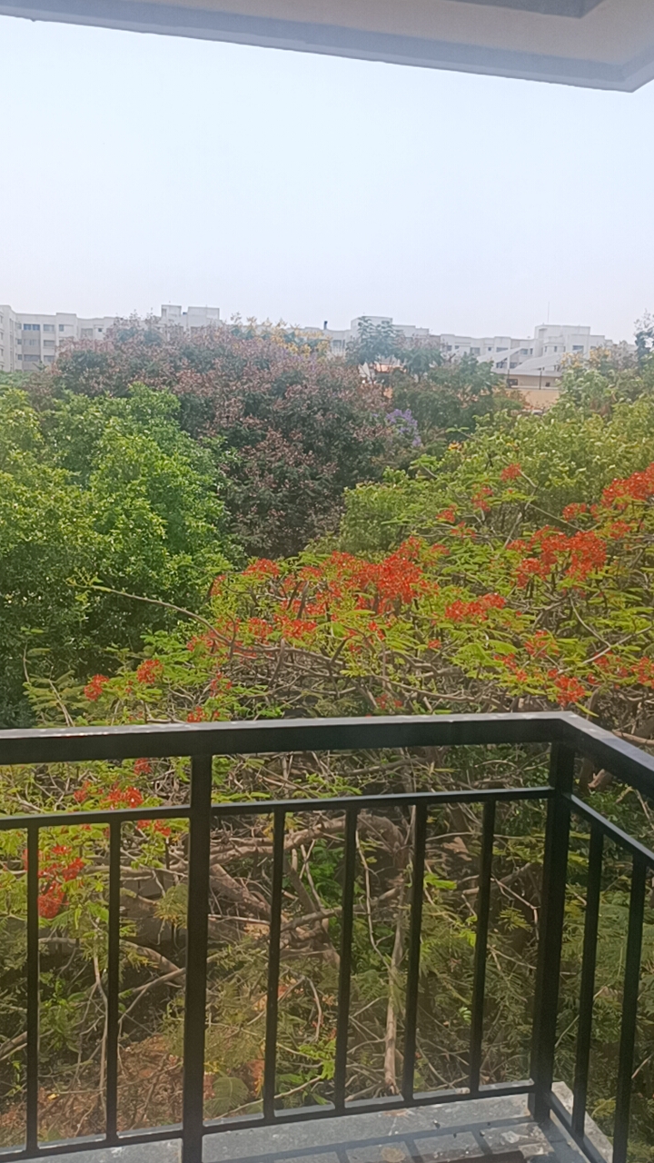 2 BHK 937 Sq.Ft. Apartment in Ozone Urbana Aqua