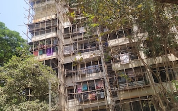 1 BHK Apartment For Rent in Pradnya CHS, Ashtavinayak Nagar