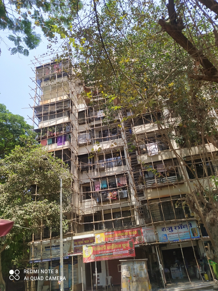 1 BHK Apartment For Rent in Pradnya CHS