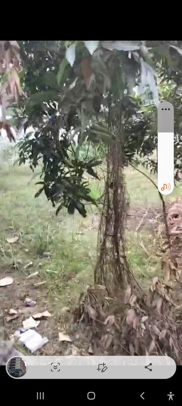  Plot – Garden View at Pendurthi - for Sale