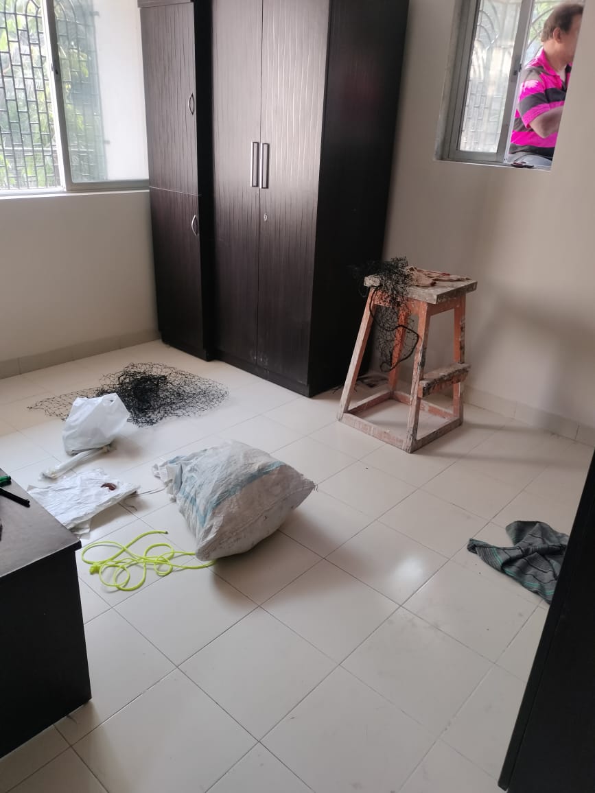 1 BHK Apartment For Rent in Olive Chs Borivali