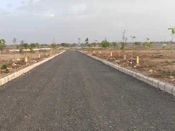 Plot Area in  Plot at Peddapur – for Sale