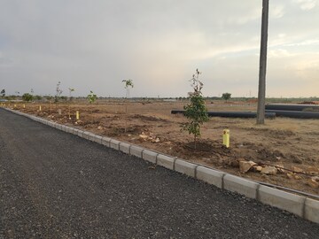 Plot Area in  Plot at Peddapur – for Sale
