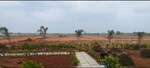 255 Sq.Yd. Plot in Royal Crest 25 Acers Dtcp
