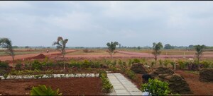  Plot For Sale in Dilwarguda