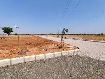 Plot Area in  Plot at Peddapur – for Sale