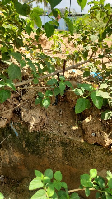 Plot Area in  Plot at Narayanaghatta – for Sale
