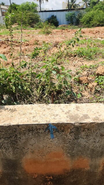  Plot For Sale in Narayanaghatta