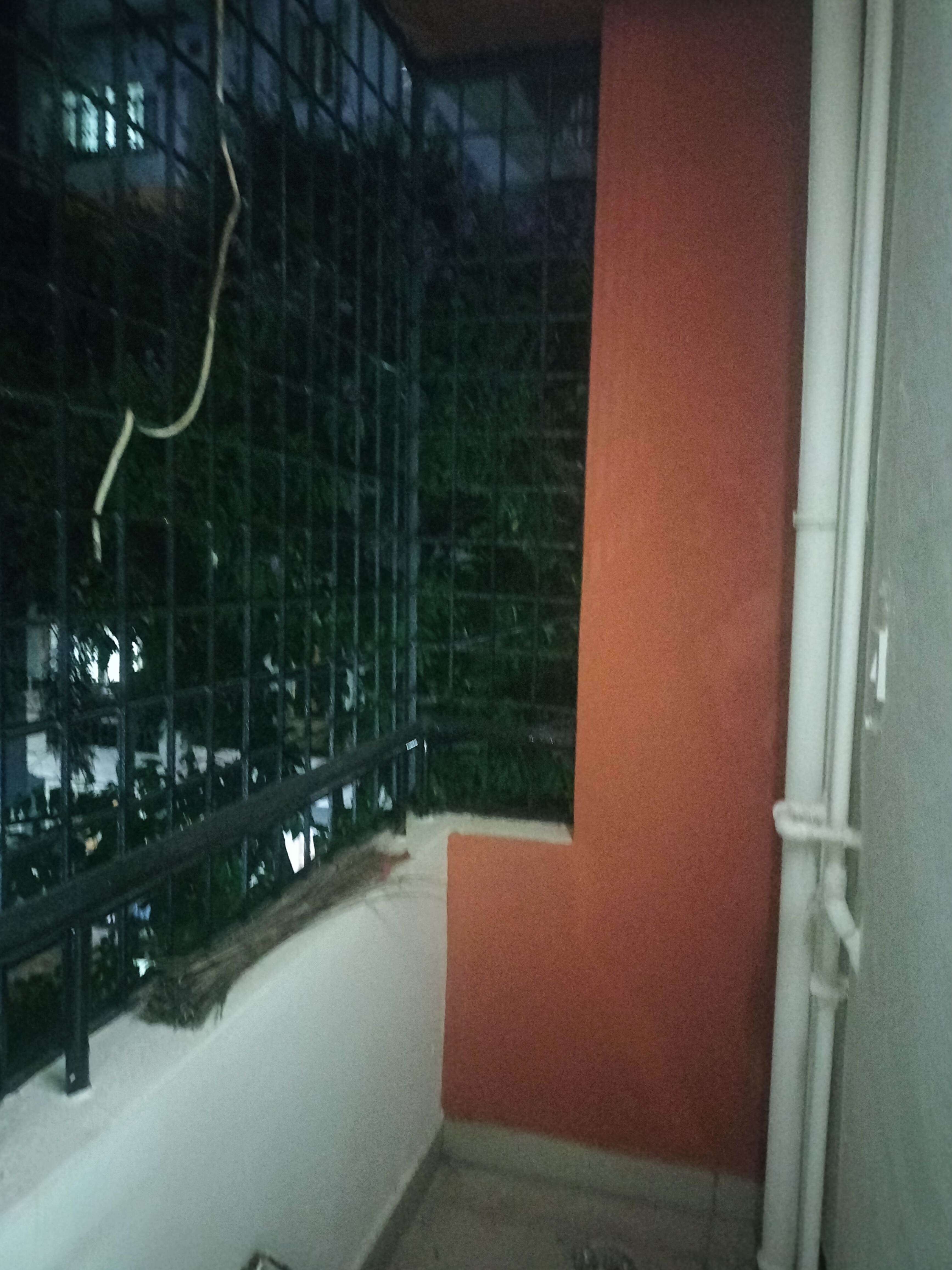 2 BHK Apartment For Rent in Ln Prapertey 