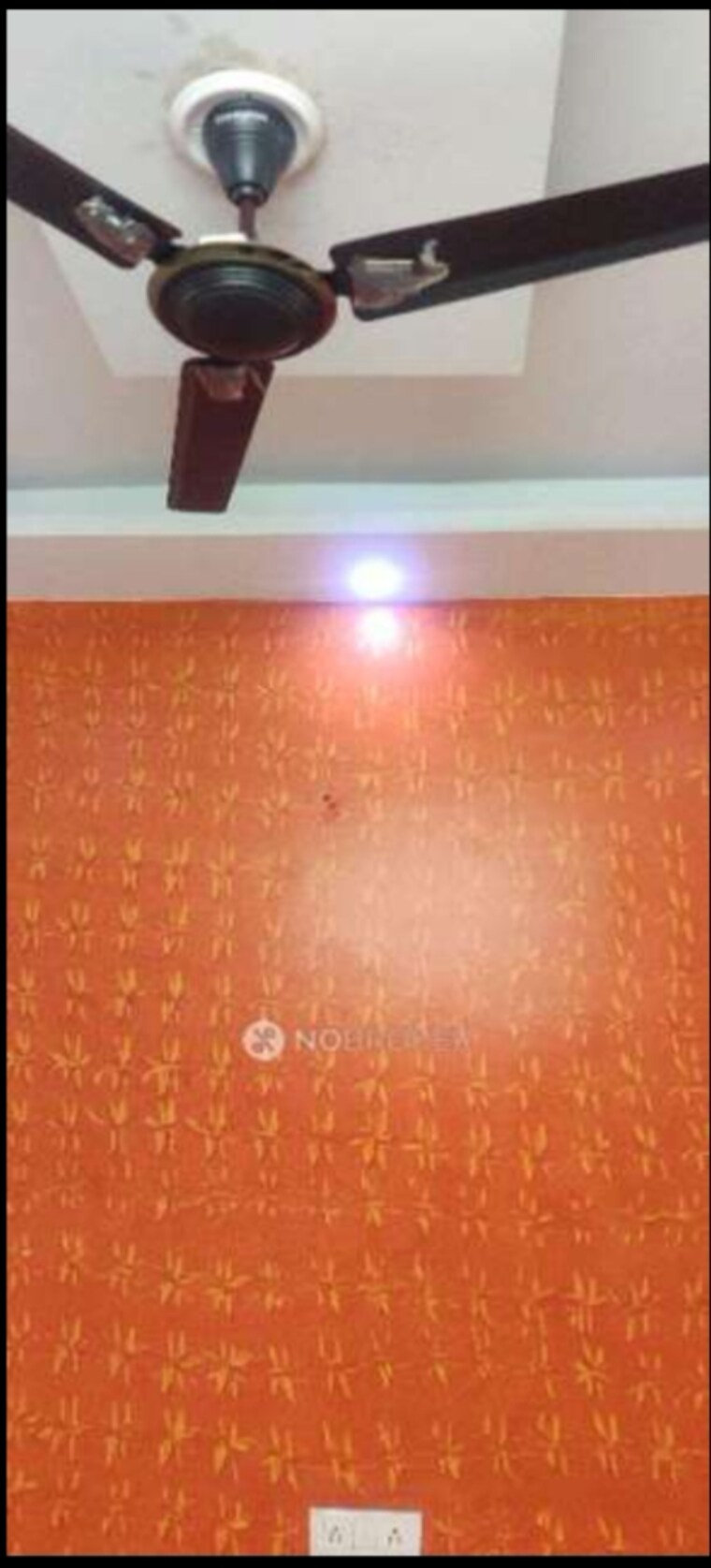 undefined, krishna nagar 2 Bedroom 450 Sq.Ft. Builder Floor In Krishna Nagar Delhi 8587109