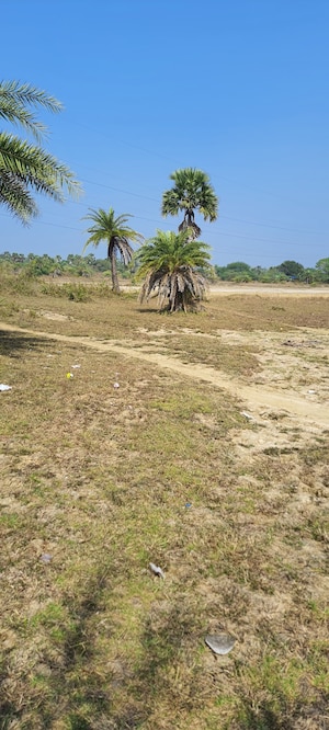  Plot For Sale in Haware Castle Palghar, Palghar
