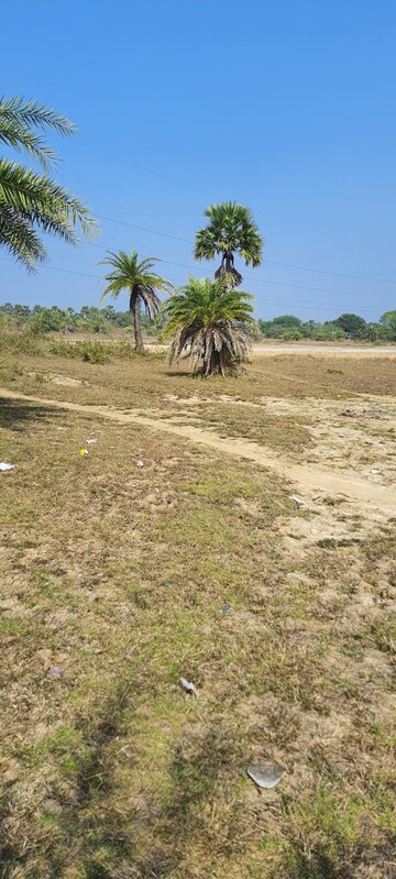  Plot For Sale in Haware Castle Palghar, Palghar