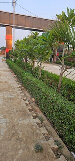 1000 Sq.Yd. Plot in Chunar