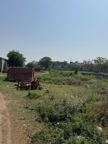  Land For Rent in Sector 150