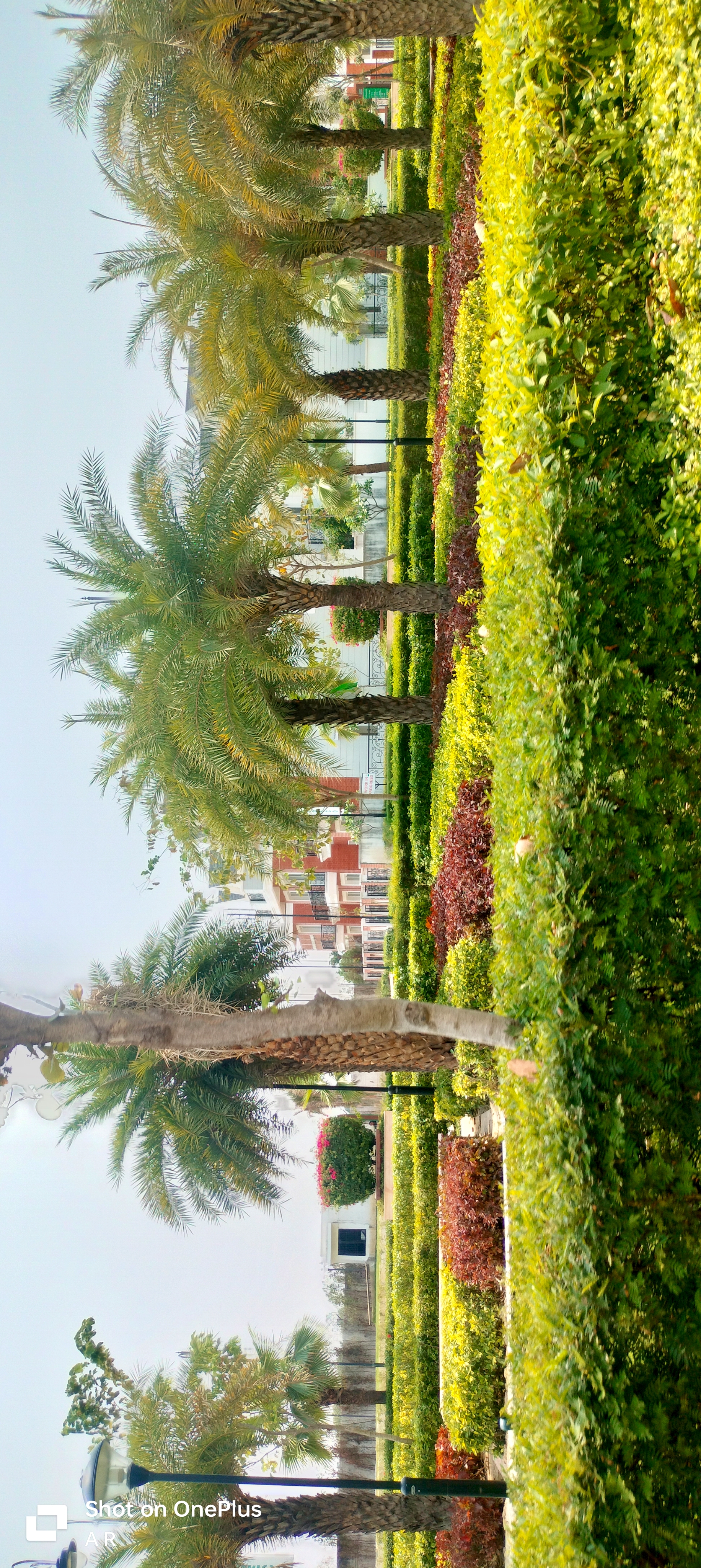 2 BHK + Study Room Villa For Sale in Eldeco Imperia