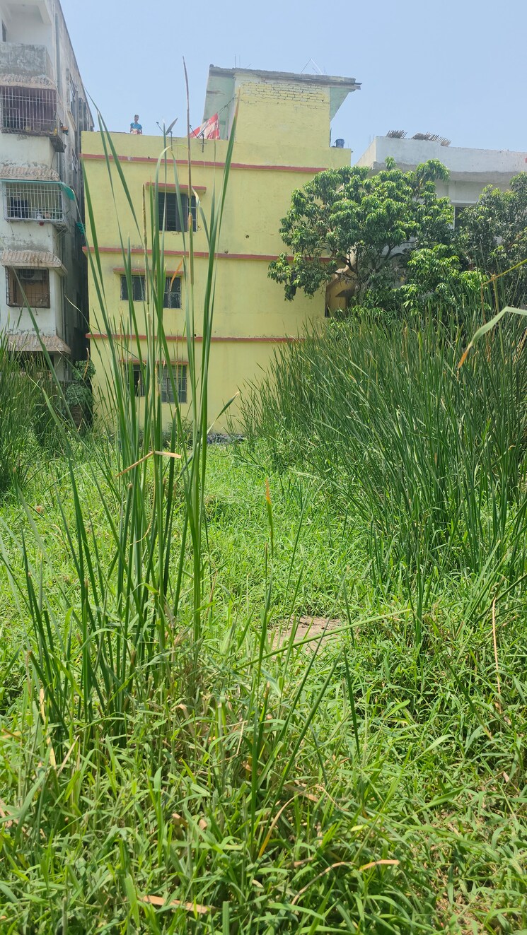 Garden, rps more  1361 Sq.Yd. Plot In Rps More Patna 8588067