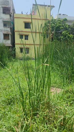  Plot – Exterior View View at Rps More - for Sale