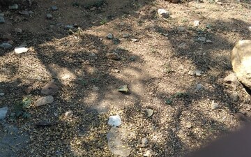 Plot For Sale in Kothapet
