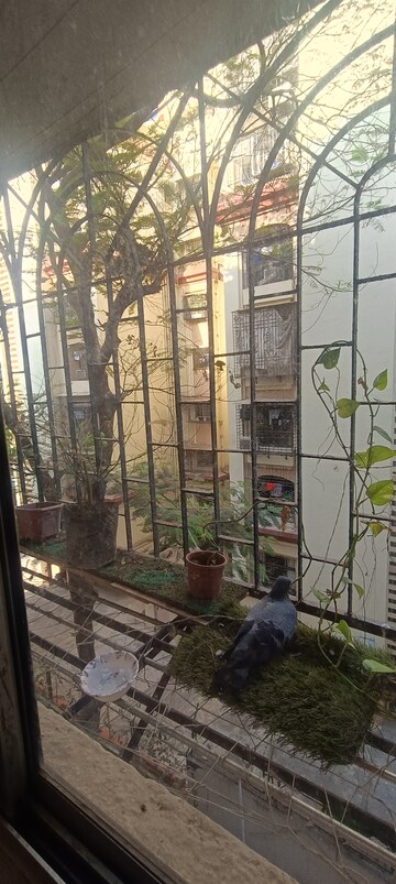 1 RK Apartment – Exterior View View at Anita Nagar Chs, Kandivali East - for Rent