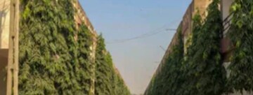 2 BHK Villa – Garden View at Jiav - for Rent
