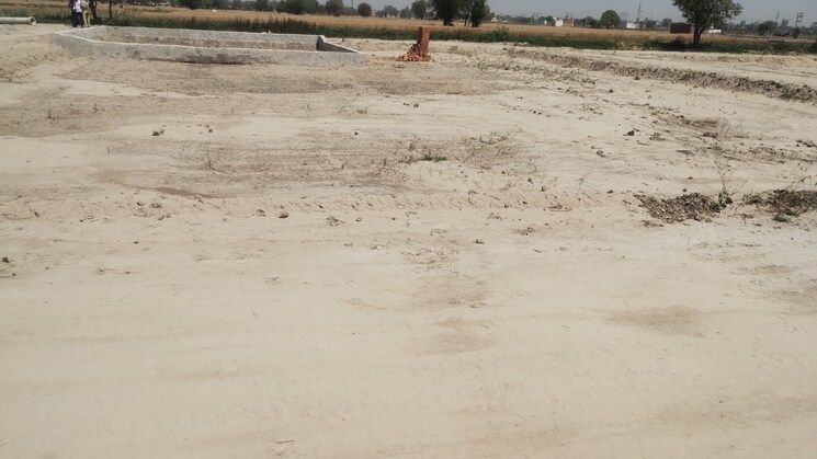 undefined, bamnikhera  1000 Sq.Yd. Plot In Bamnikhera Palwal 8588606