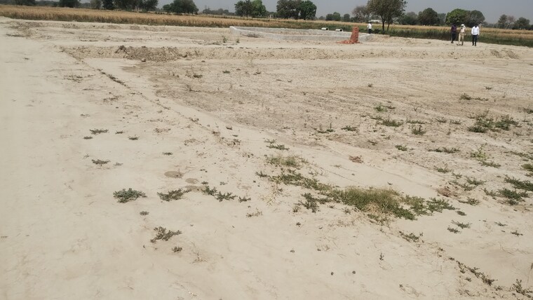 undefined, bamnikhera  1000 Sq.Yd. Plot In Bamnikhera Palwal 8588606