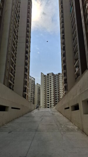 3 BHK Apartment – Exterior View View at Amrapali Golf Homes, Sector 4 Greater Noida - for Sale