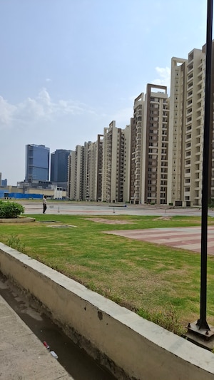 3 BHK Apartment For Sale in Amrapali Golf Homes, Sector 4 Greater Noida