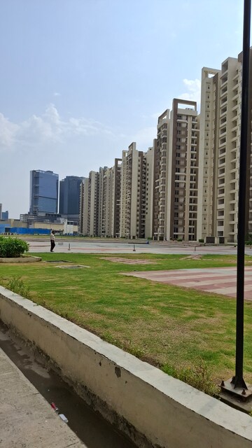 3 BHK Apartment For Sale in Amrapali Golf Homes, Sector 4 Greater Noida