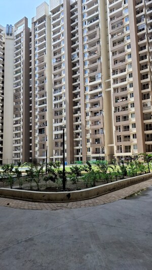 3 BHK Apartment – Exterior View View at Amrapali Golf Homes, Sector 4 Greater Noida - for Sale